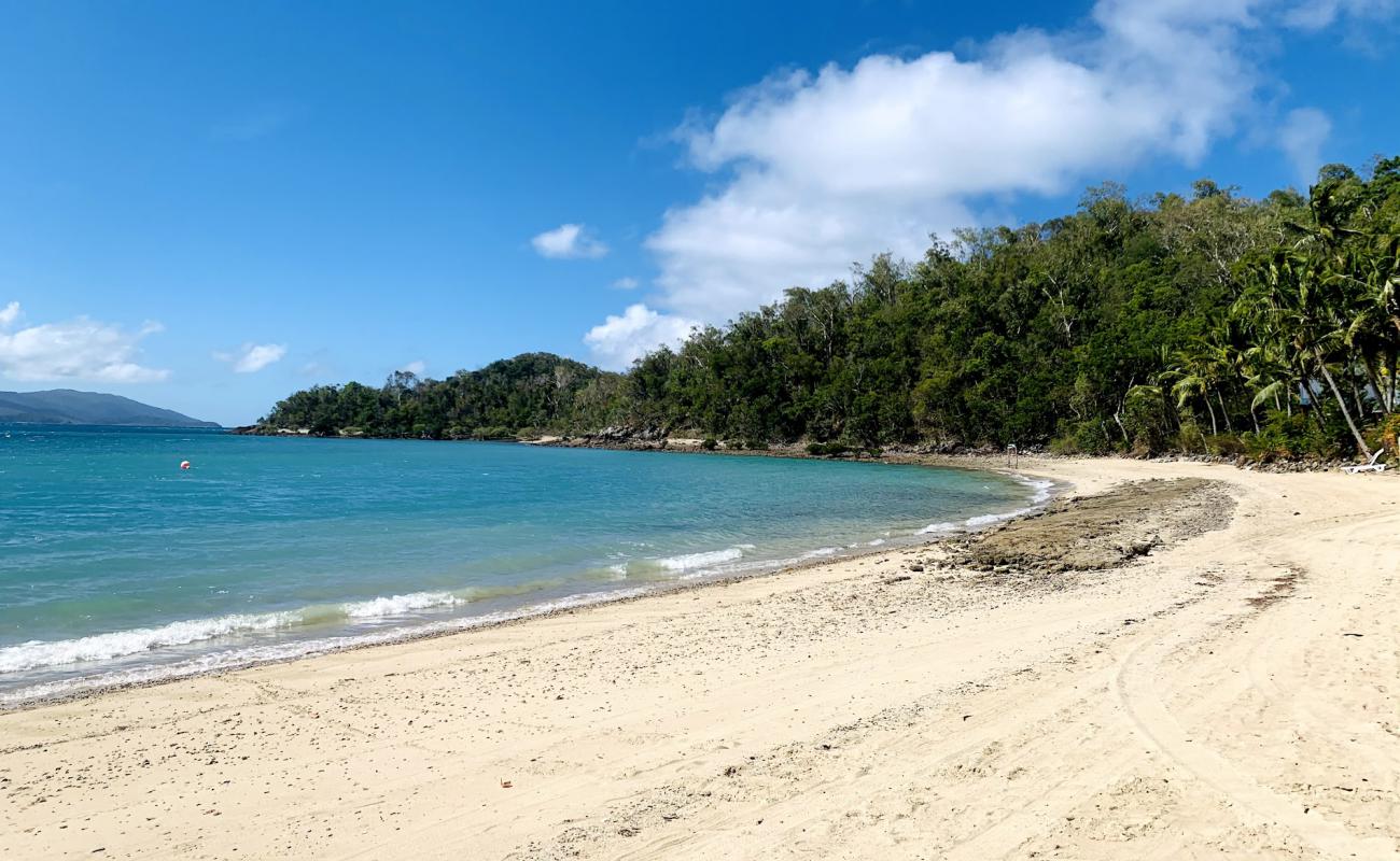 Photo of Palm Bay Beach with bright sand surface