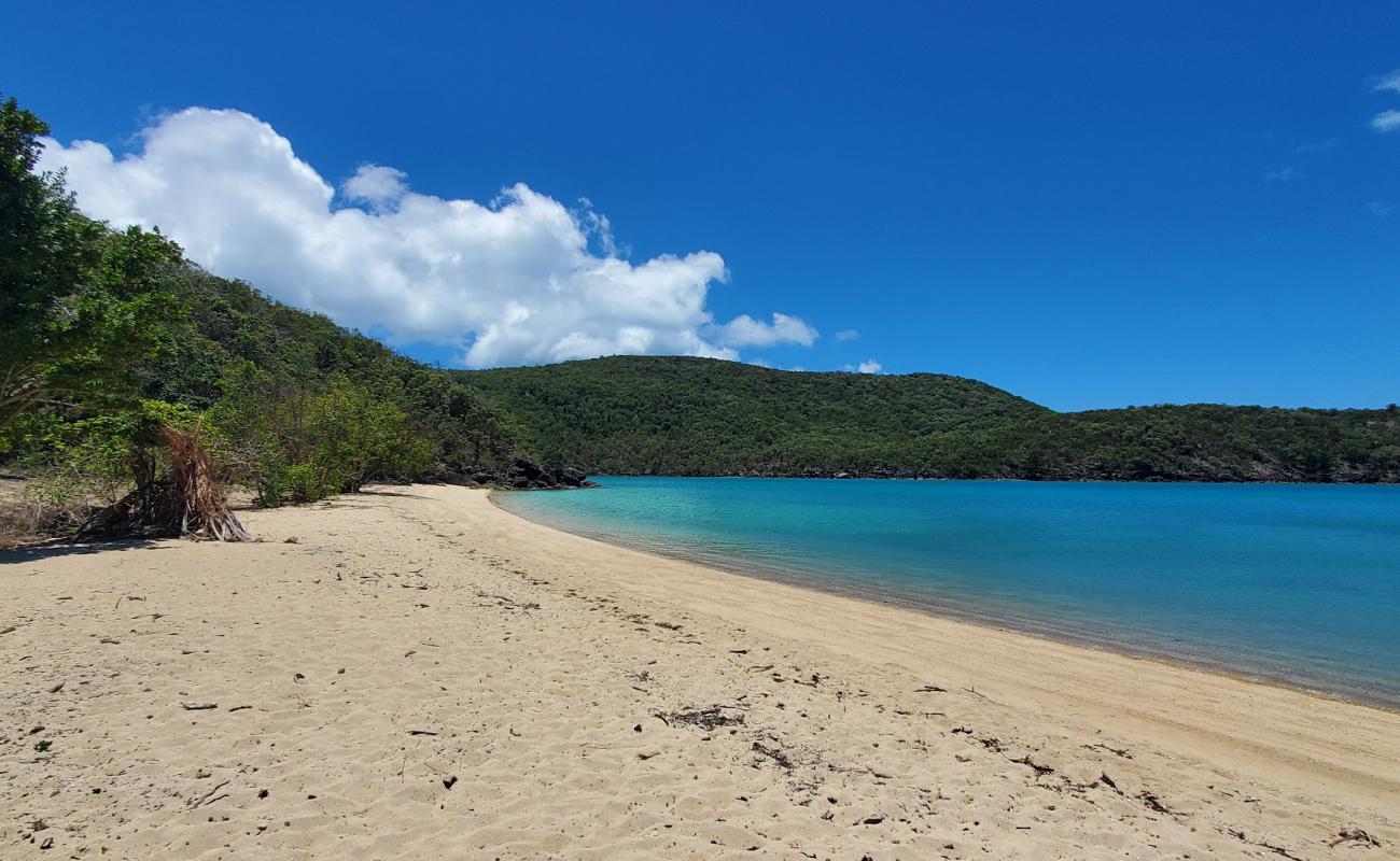 Photo of Coral Cove Beach with bright sand surface