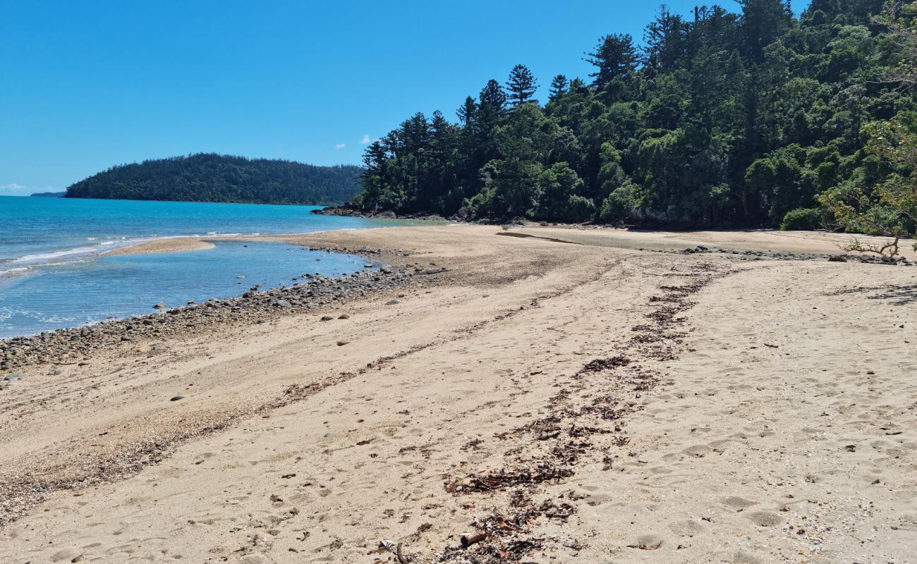 Photo of Sawmill Beach with bright sand surface