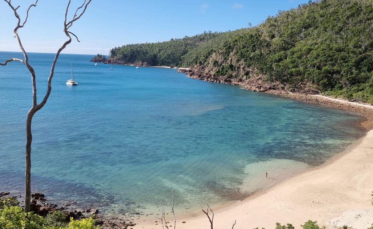 Photo of Blue Pearl Beach with bright sand & rocks surface