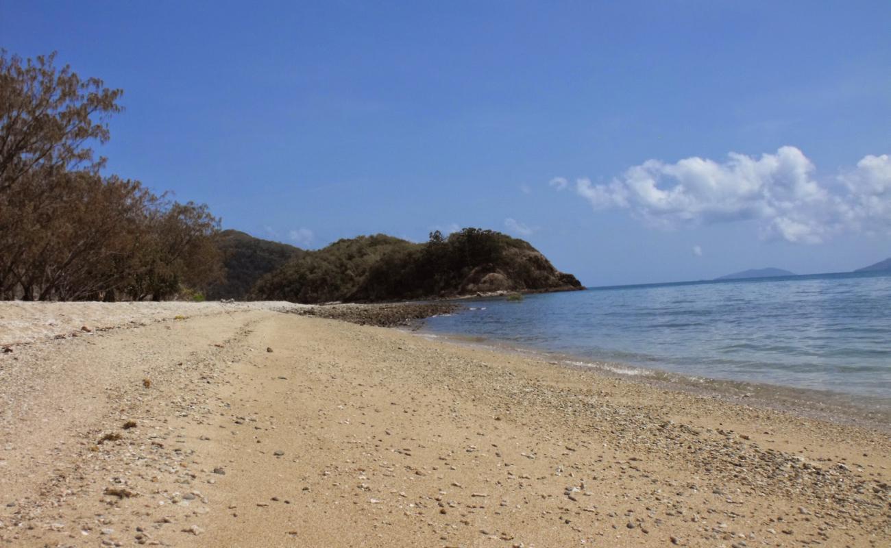 Photo of Paddle Bay Beach with gray sand &  rocks surface