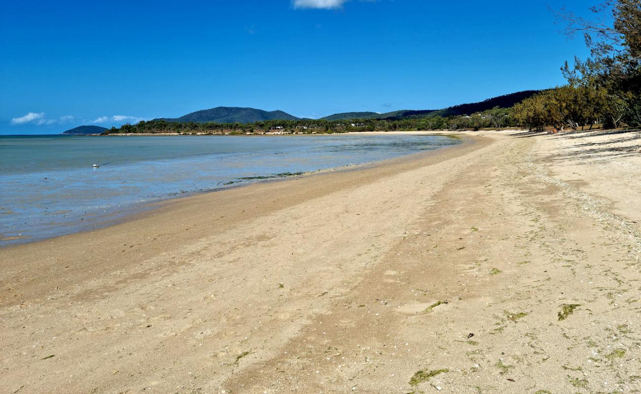 Photo of Dingo Beach with bright sand surface