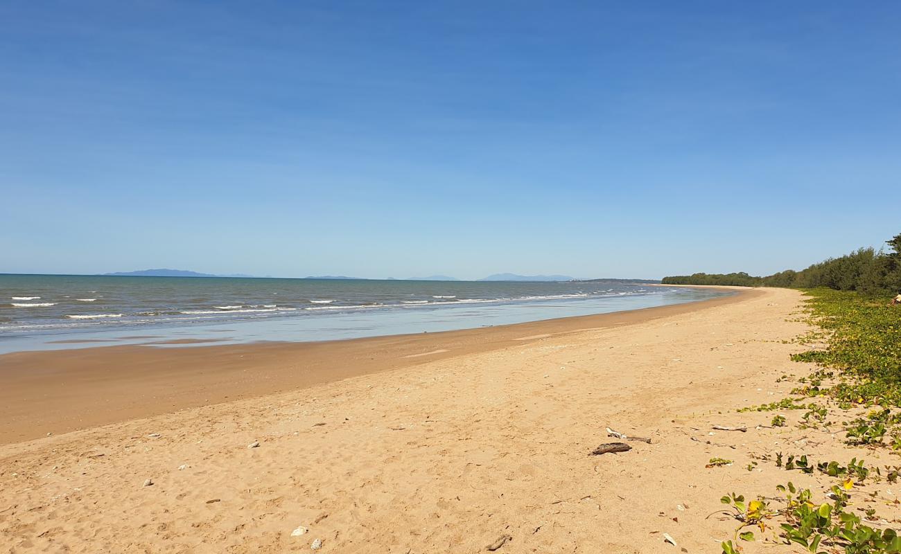 Photo of Balgal Beach with bright sand surface