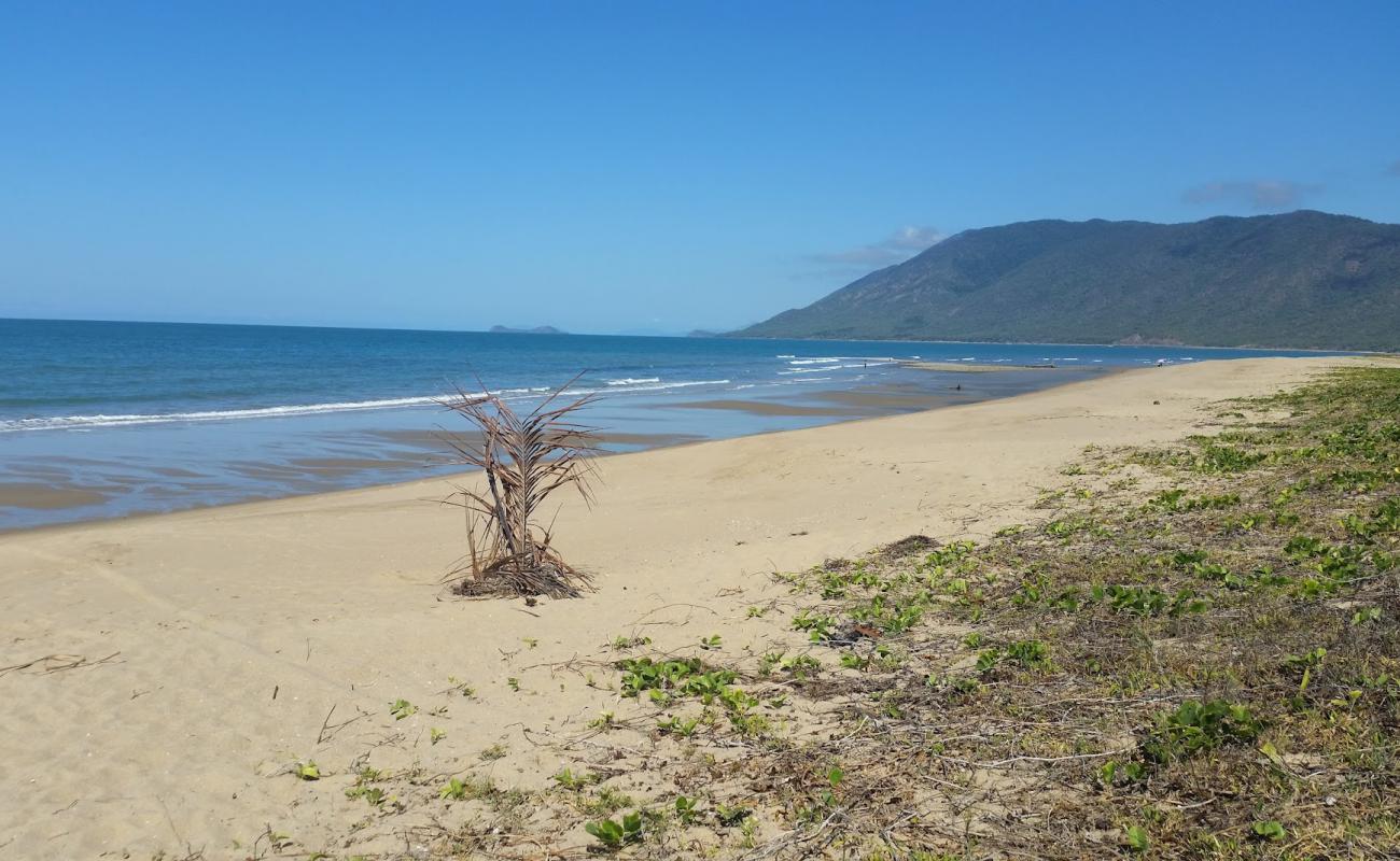 Photo of Wangetti Beach with bright sand surface