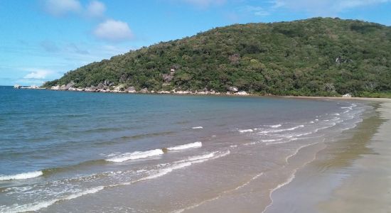 Finch Bay Beach