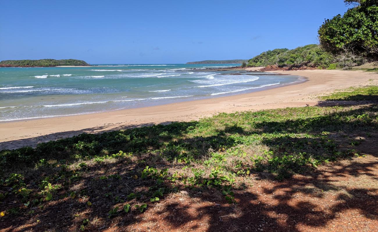 Photo of Shady Beach with bright sand surface