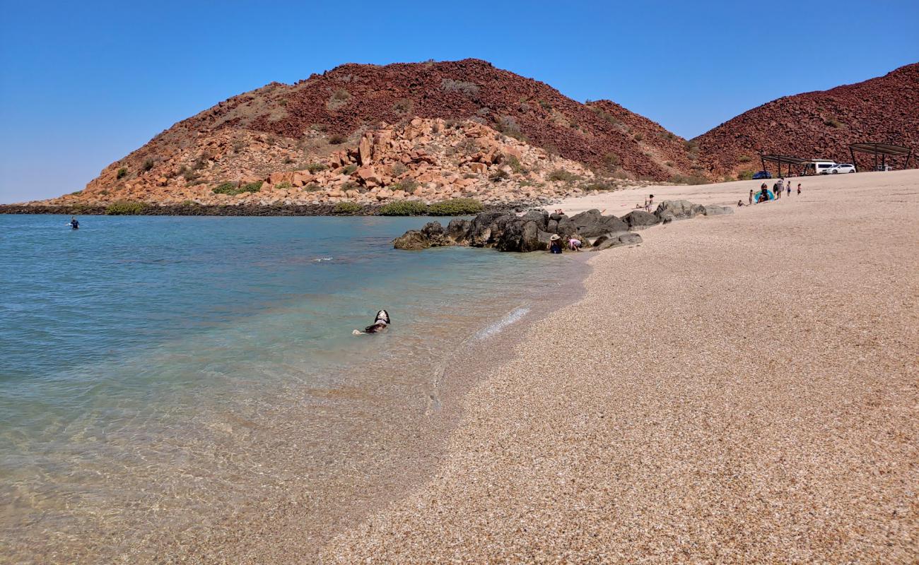 Photo of Hearson's Cove with light fine pebble surface