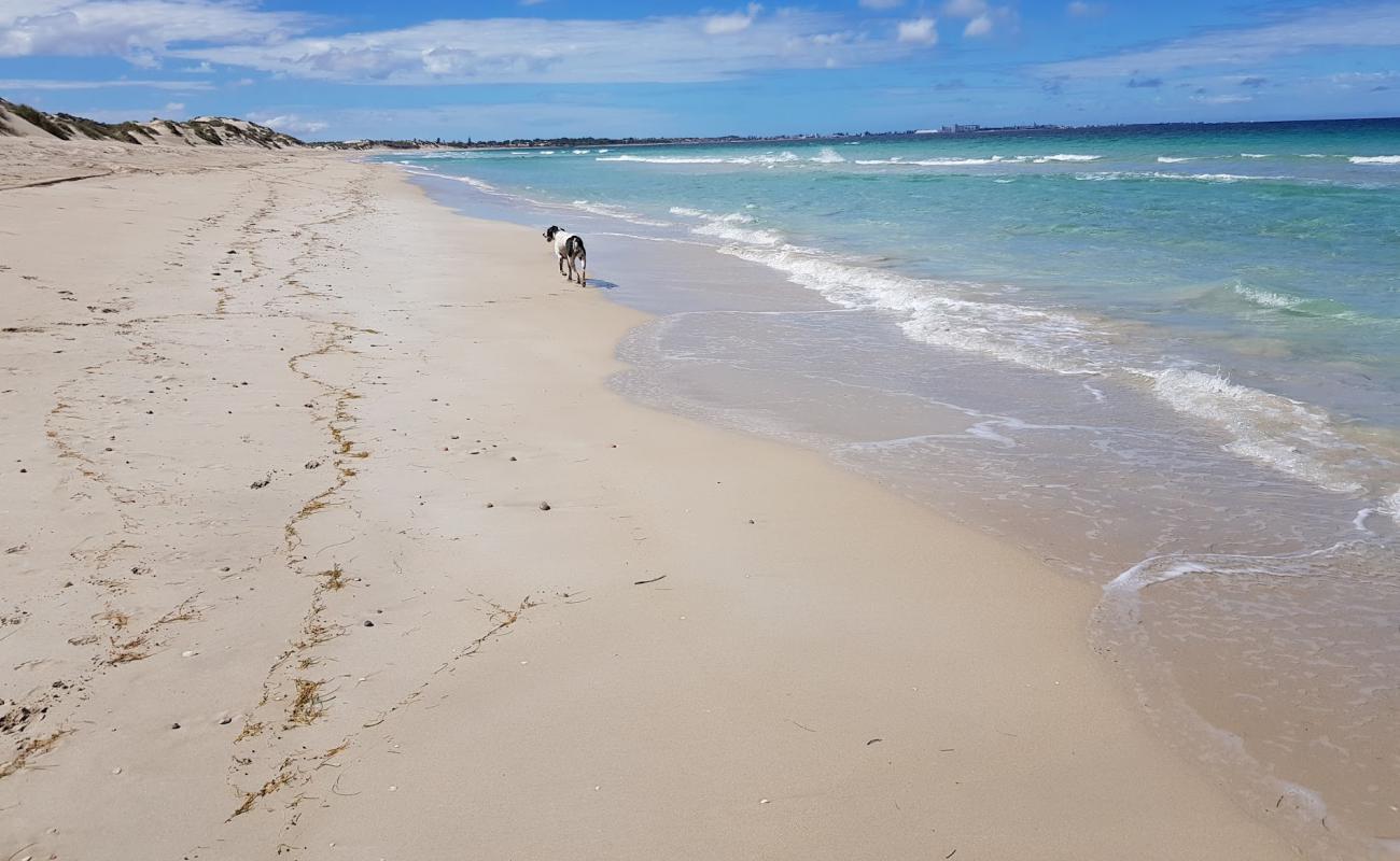 Photo of Glenfield Beach with bright sand surface