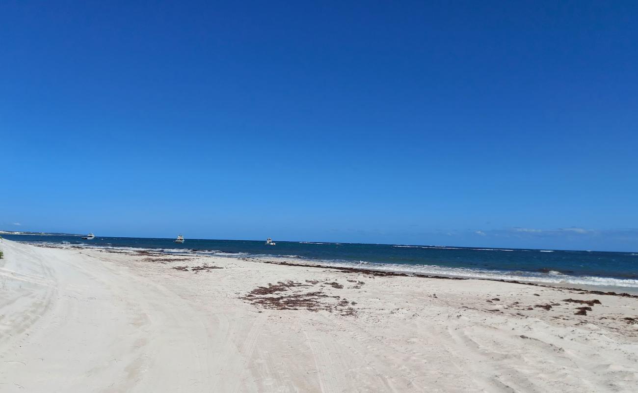 Photo of Ledge Point Beach with white fine sand surface