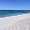 North Coogee Dog Beach