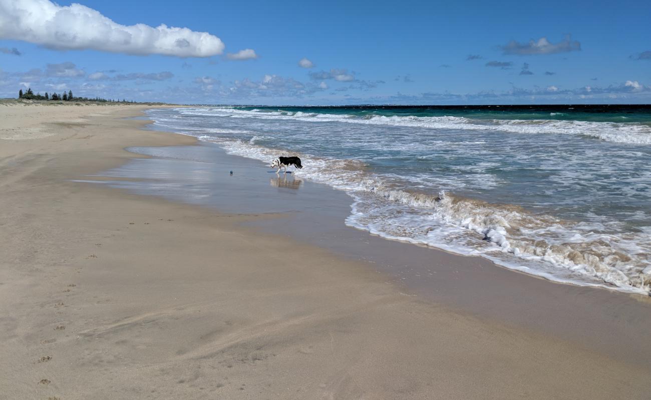 Photo of Singleton Beach with bright sand surface