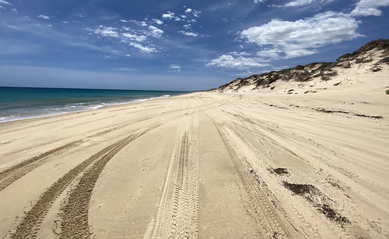 Photo of White Hills Beach with bright sand surface