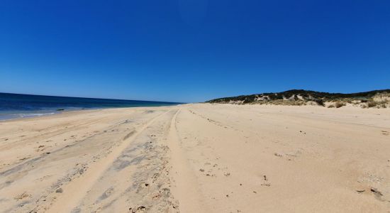 Buffalo Beach