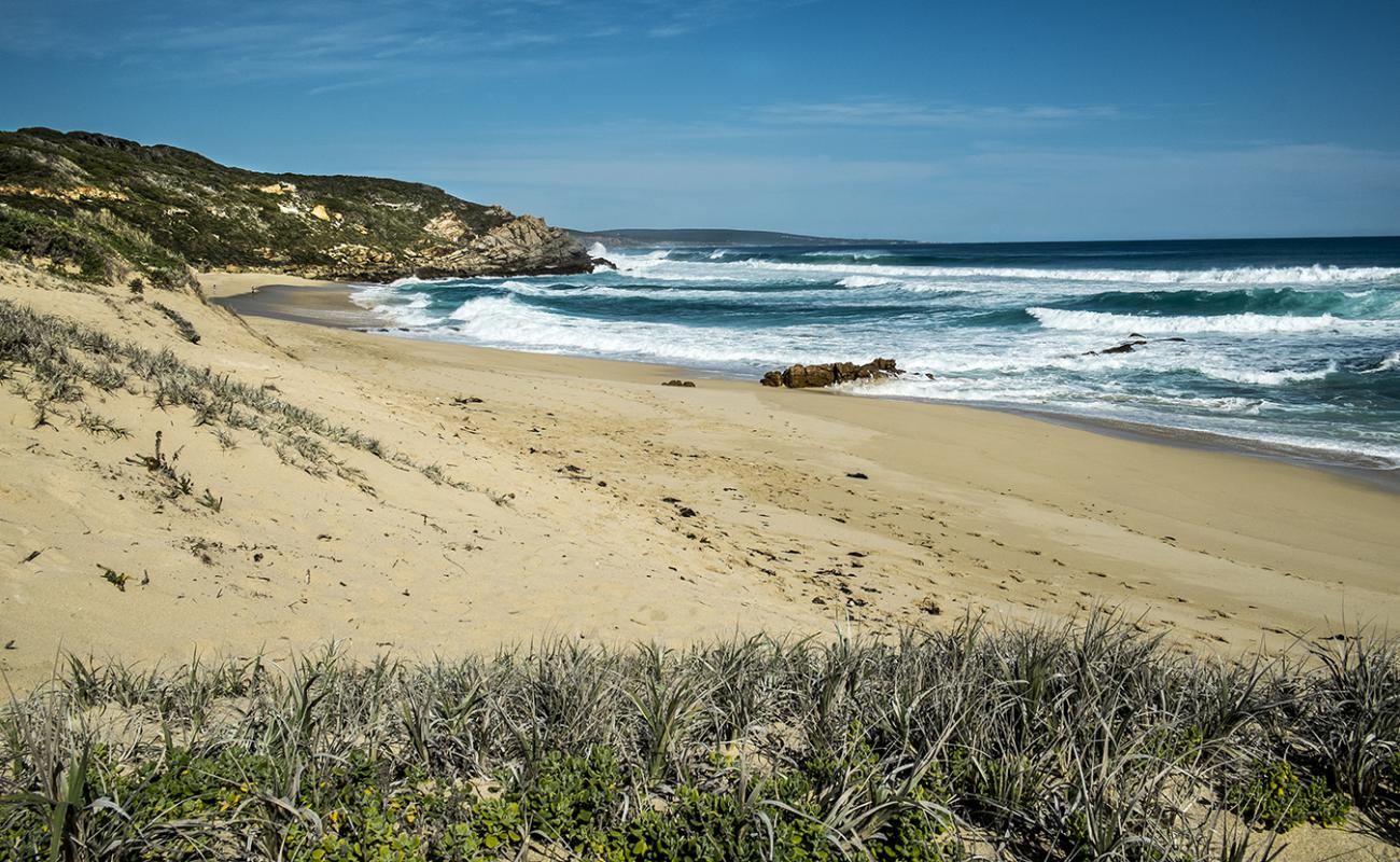 Photo of Honeycombs Beach with bright sand surface