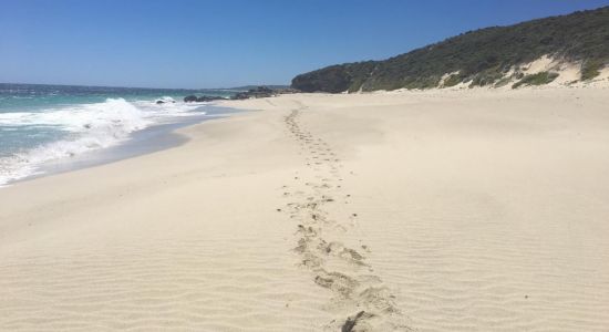 Deepdene Beach