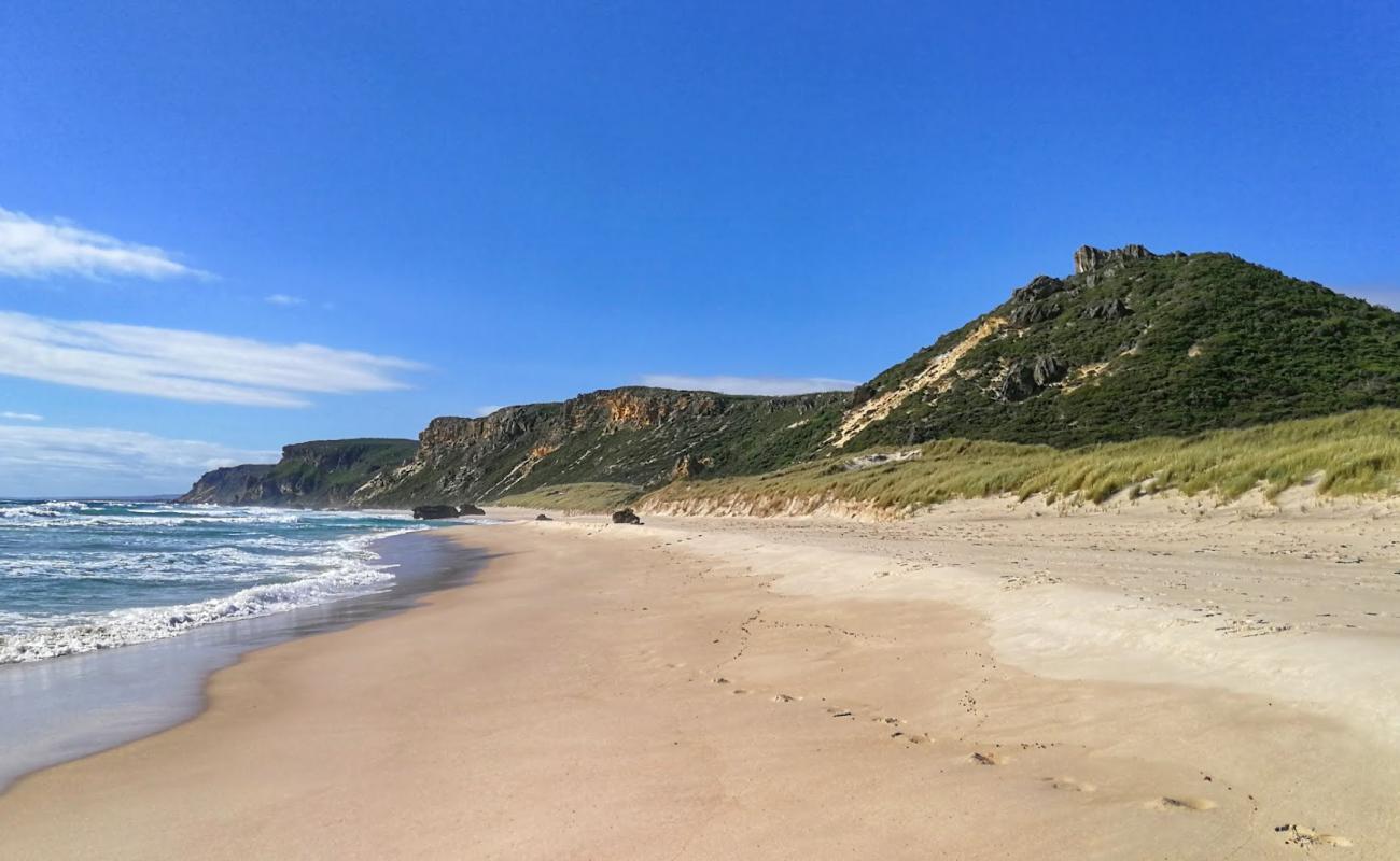 Photo of Salmon Beach with bright sand surface