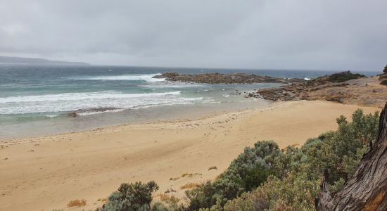 Boat Harbour Beach