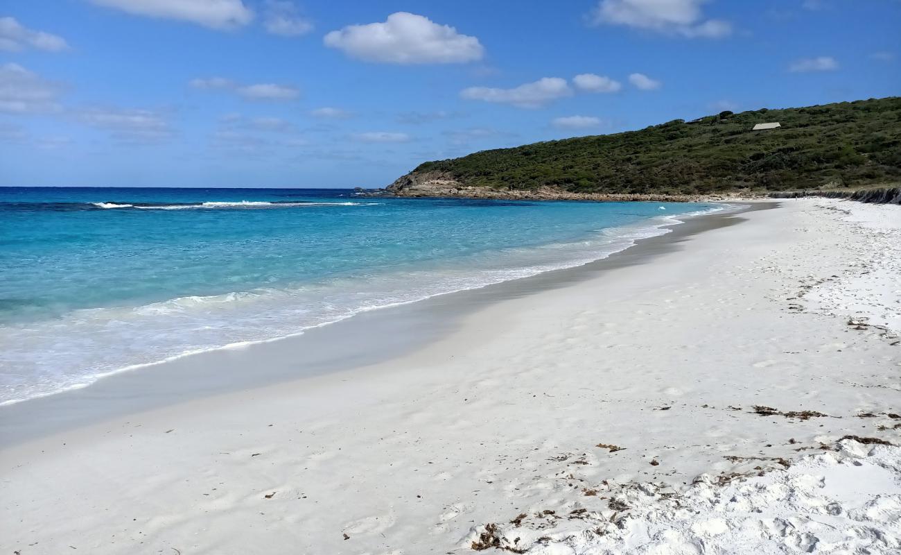 Photo of Short Beach with bright fine sand surface