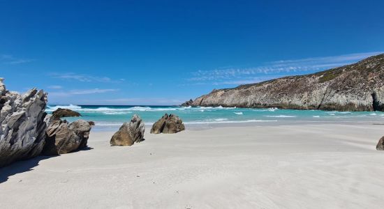 Whalebone Beach