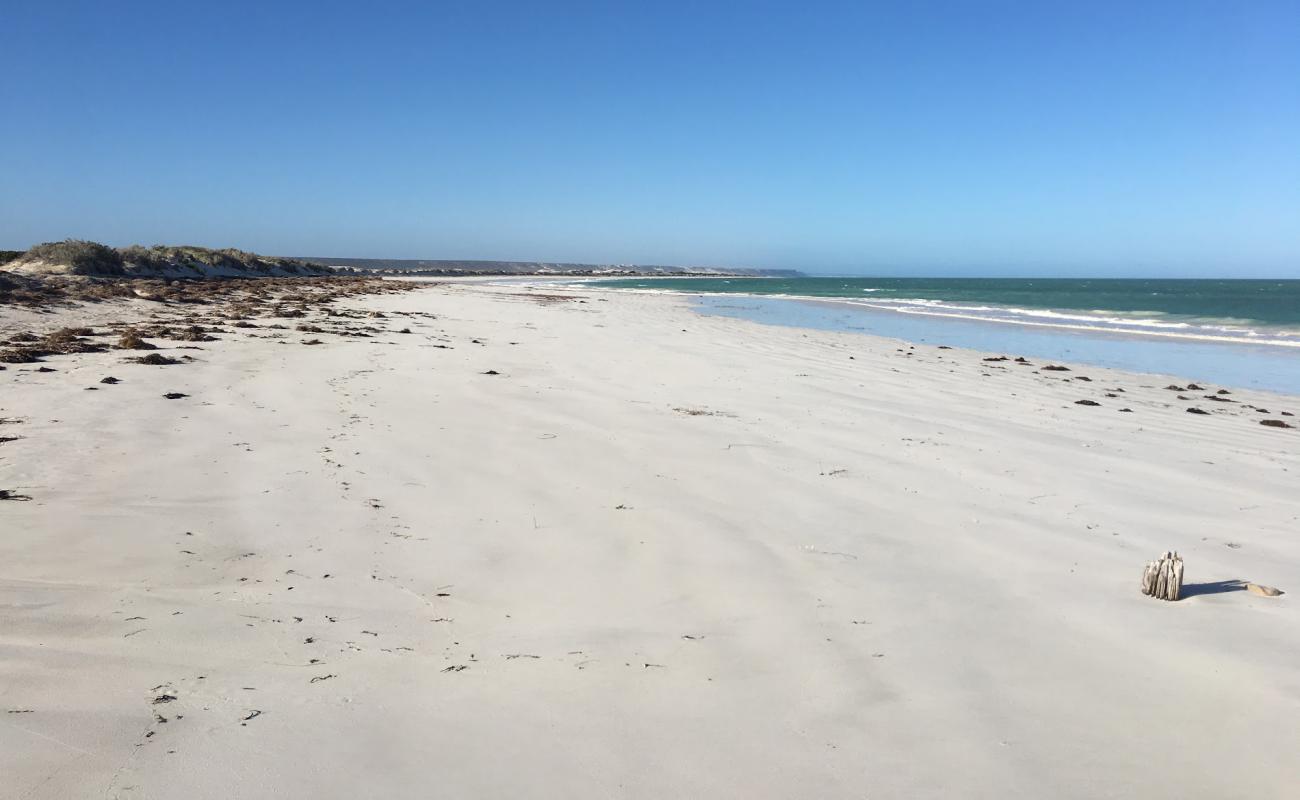 Photo of Bilbunya Dunes with white fine sand surface