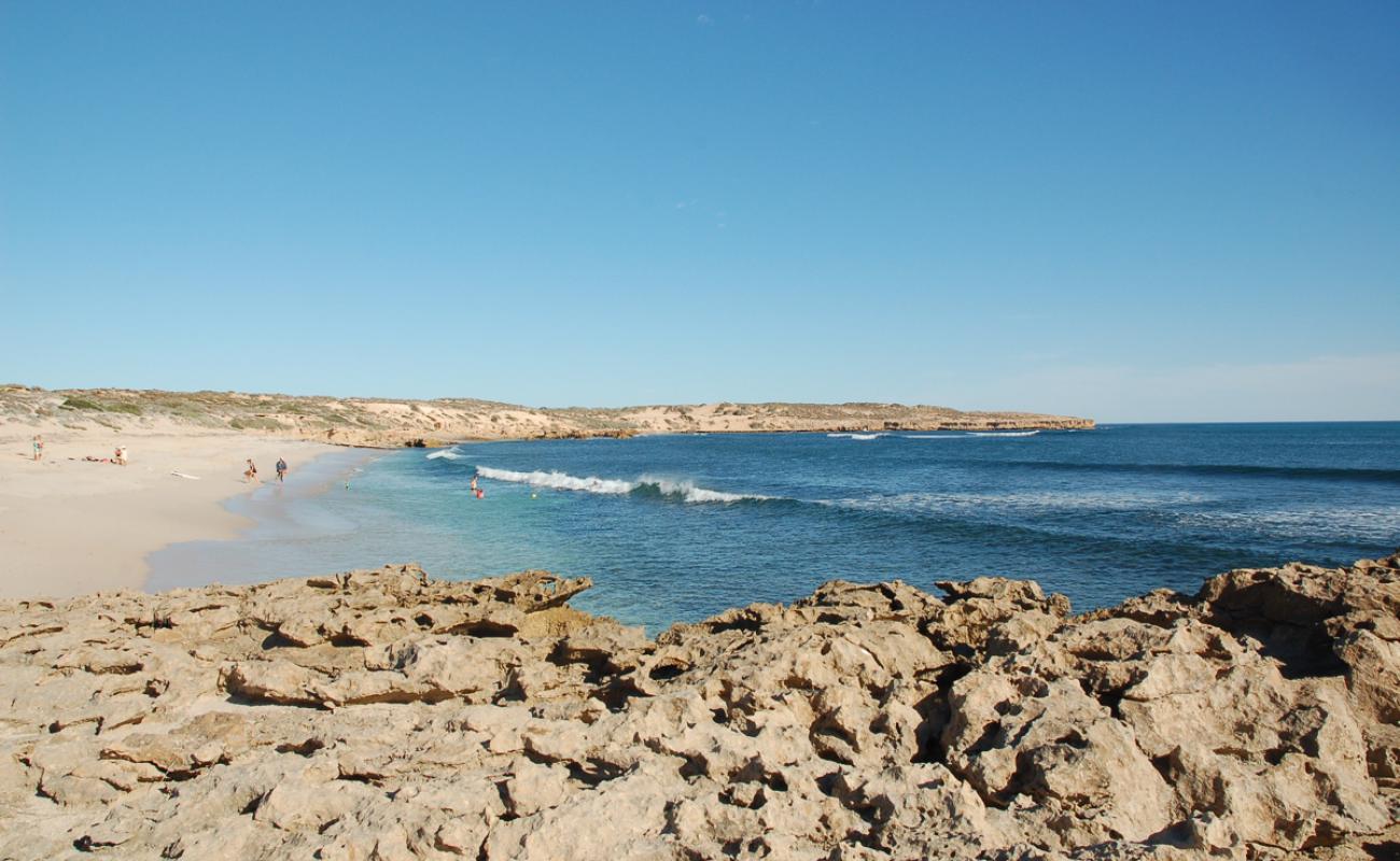 Photo of Cactus Beach with bright sand surface