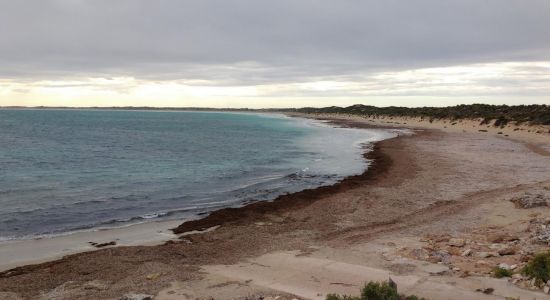 Surfers Beach