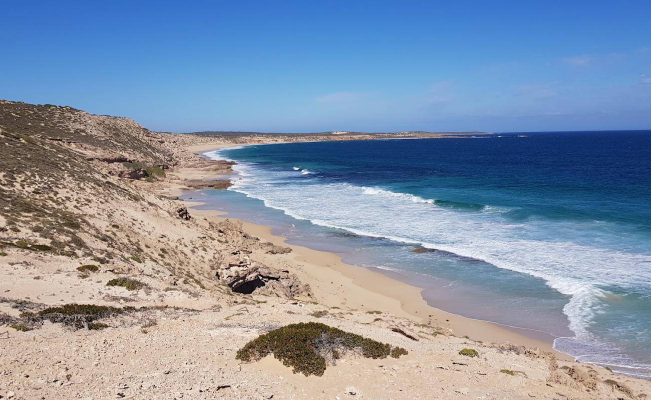 Photo of Long Beach with bright sand surface