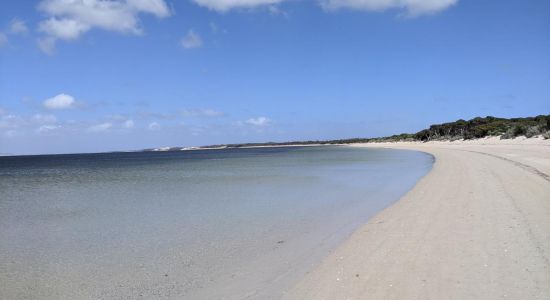 Morgans Landing Beach