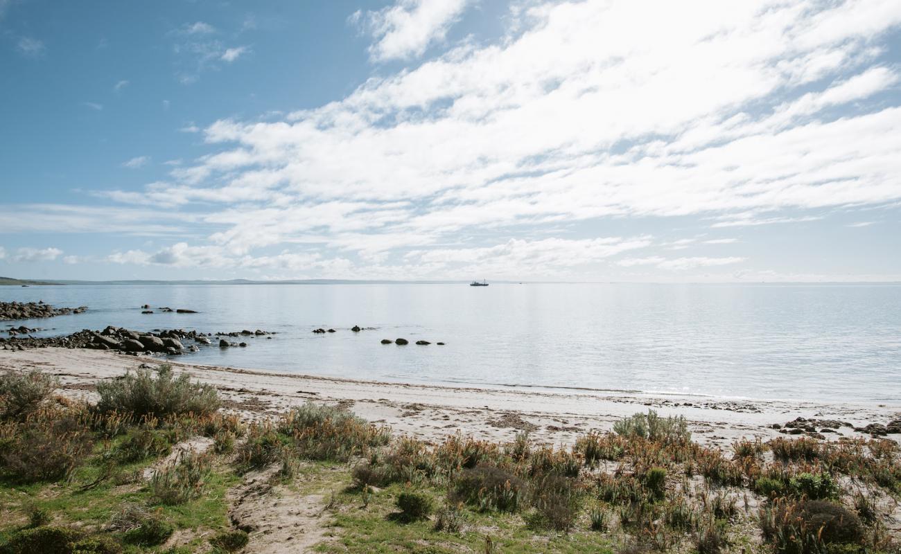 Photo of Engine Point Beach with bright sand surface