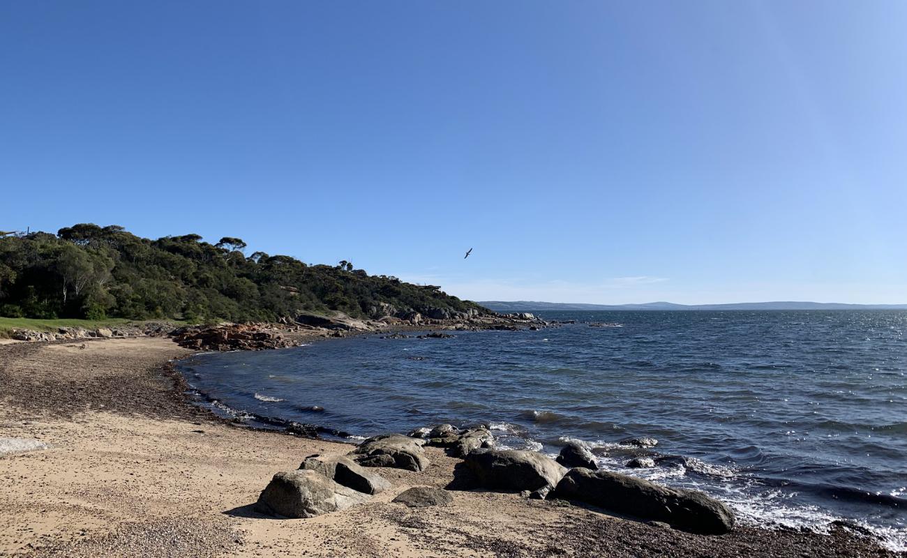 Photo of Shelly Beach with light fine pebble surface