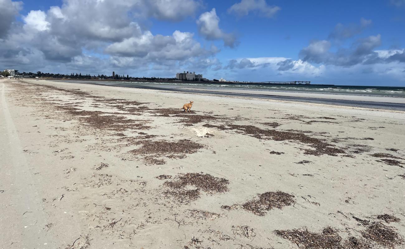 Photo of North Beach Foreshore with bright sand surface