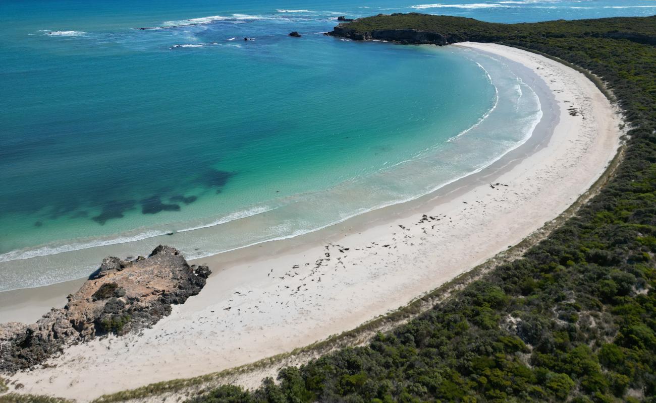 Photo of Nora Creina Beach with bright sand surface