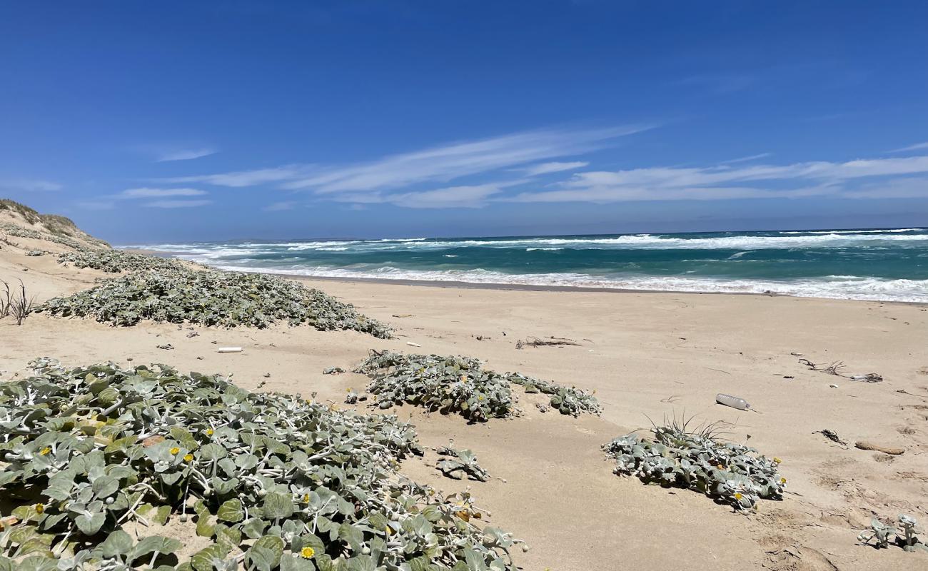 Photo of Black's Beach with bright sand surface