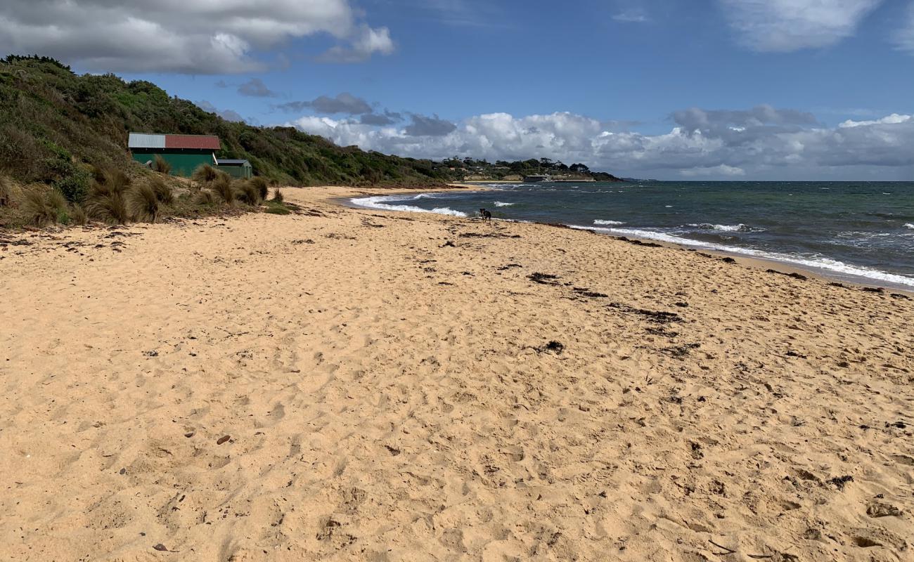 Photo of Leash Free Beach with bright sand surface