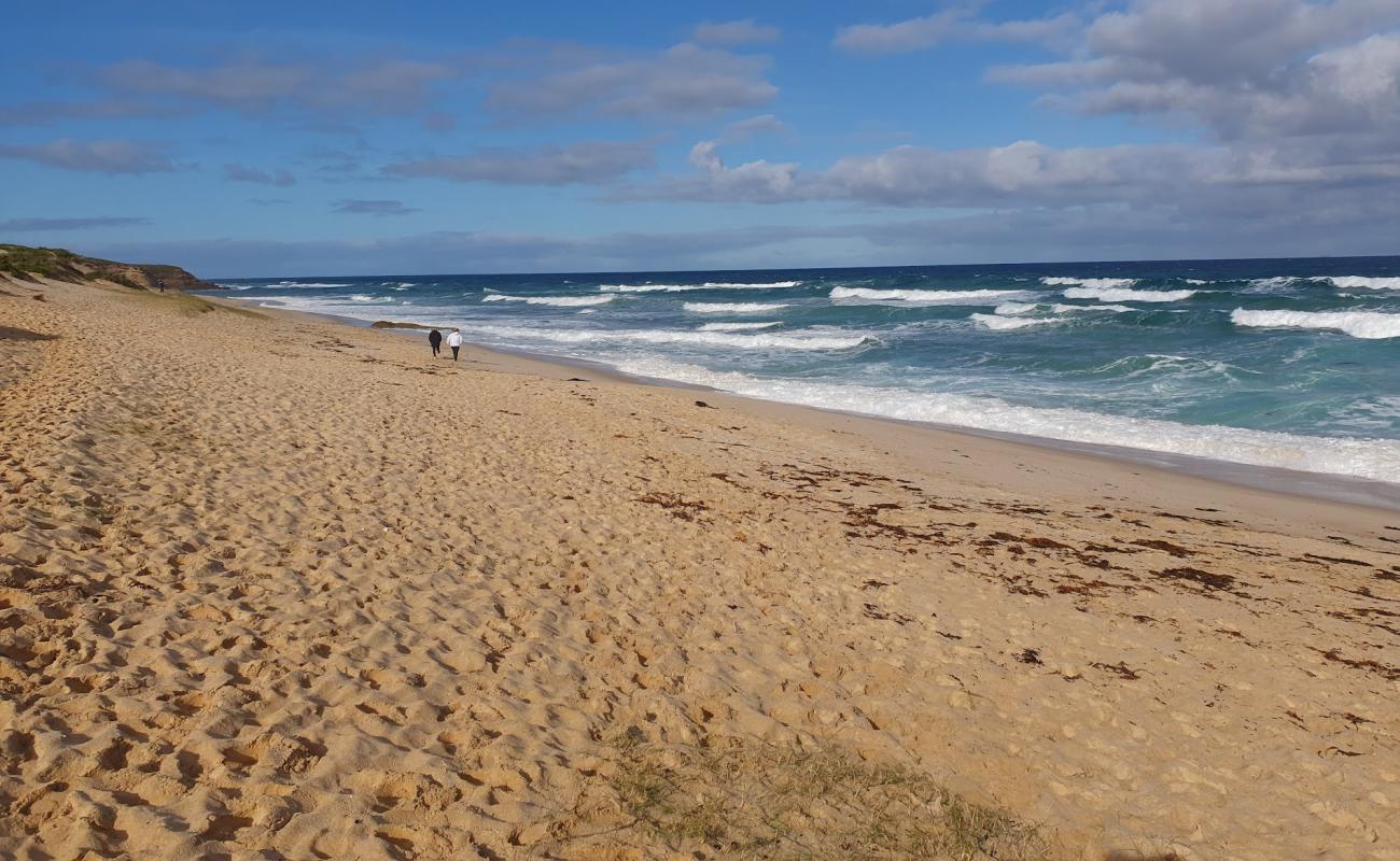 Photo of Number Sixteen Beach with bright sand surface