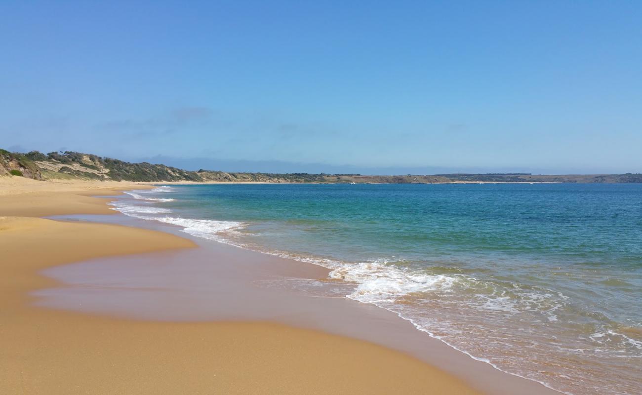 Photo of Flynns Beach with bright sand surface