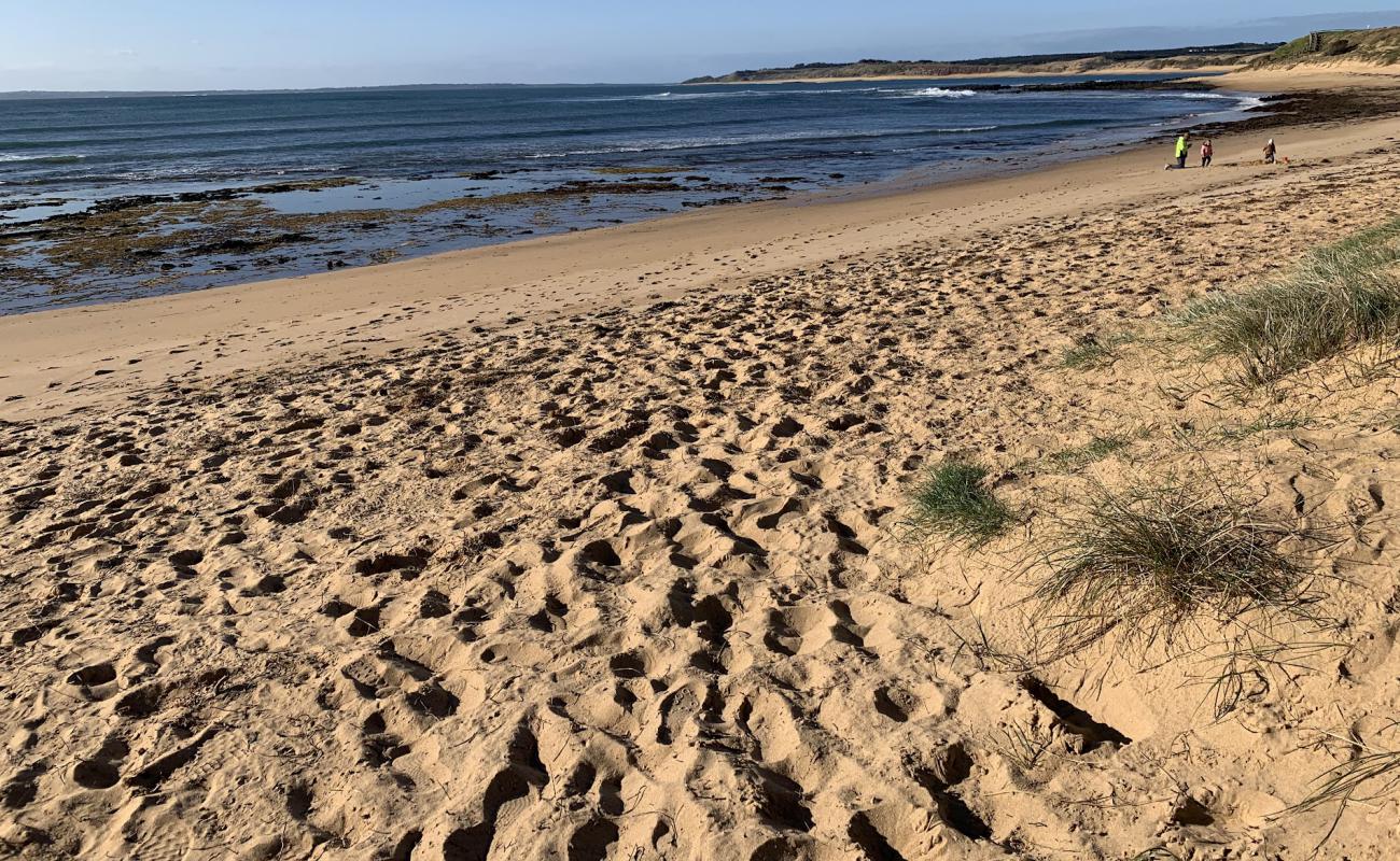 Photo of Shelly Beach with bright sand surface