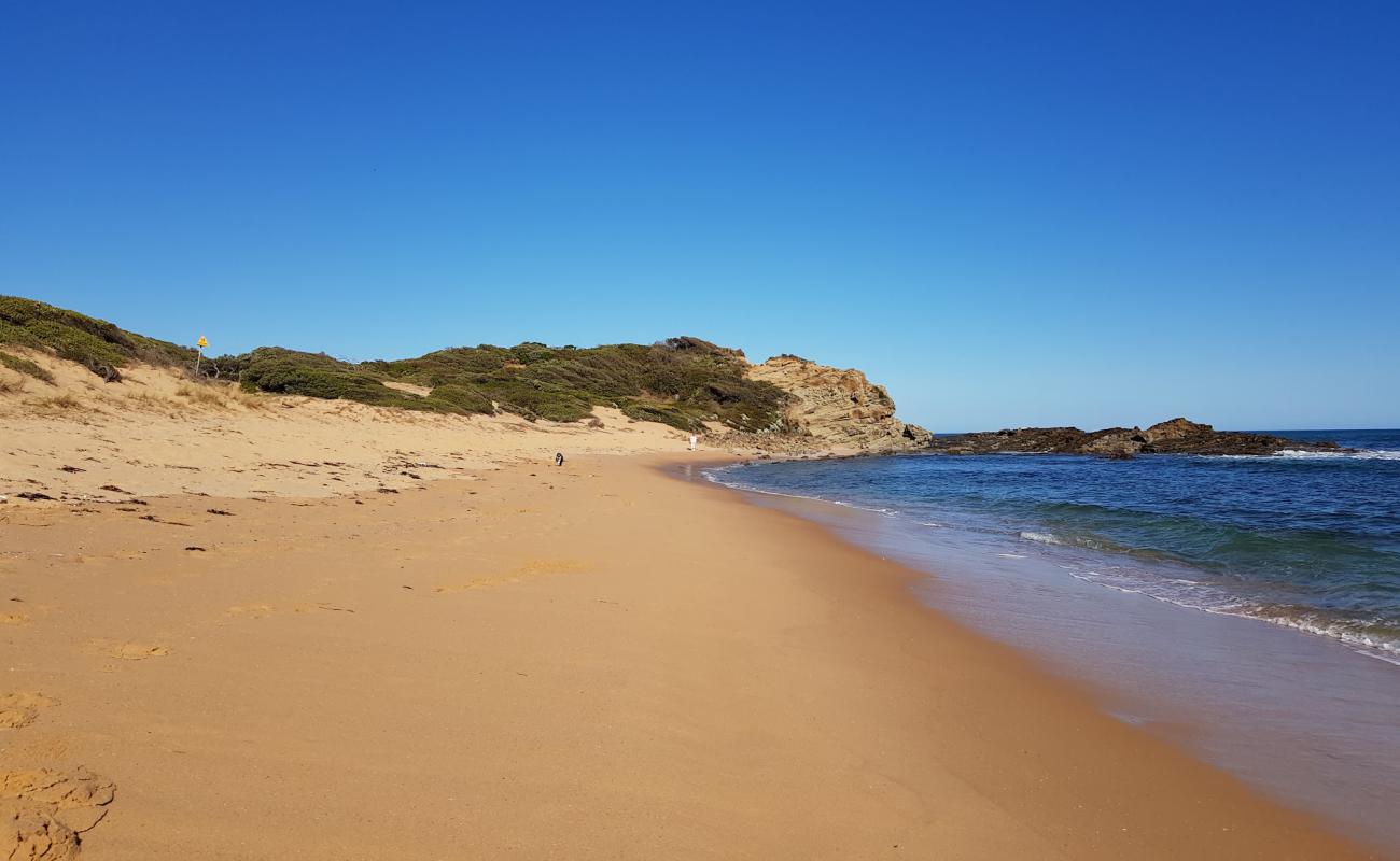 Photo of Shelley Beach with bright sand surface