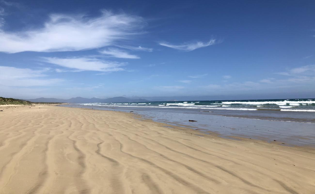 Photo of Waratah Shallow Beach with bright sand surface