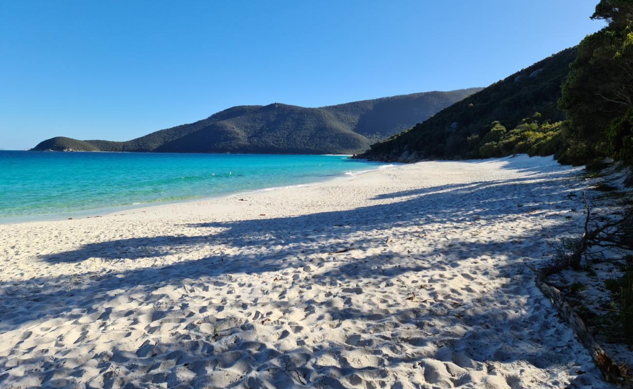 Photo of Little Waterloo Bay Beach with bright fine sand surface