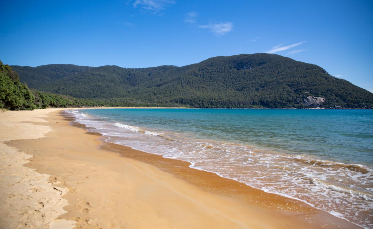 Photo of Sealers Cove Beach with bright sand surface