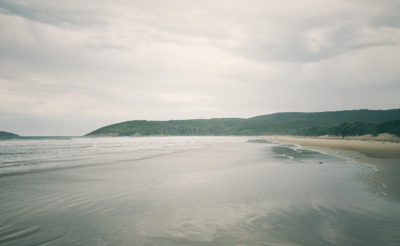 Photo of Johnny Souey Cove Beach with bright sand surface