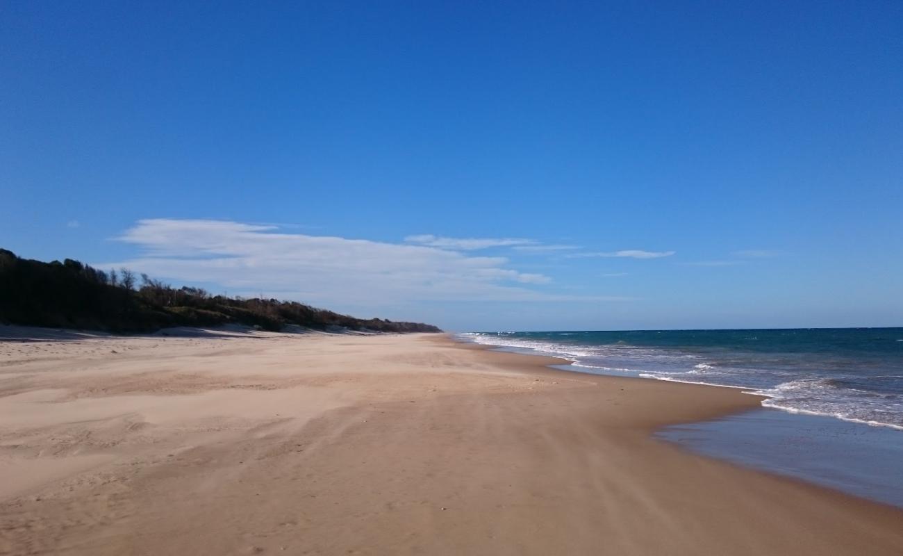 Photo of Mcloughlins Beach with bright fine sand surface