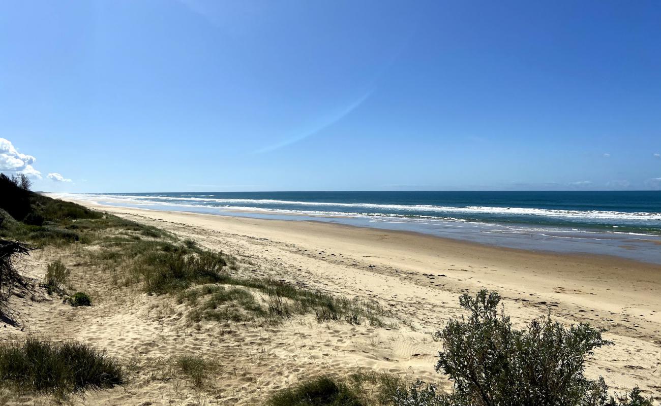 Photo of Reeves Beach with bright fine sand surface