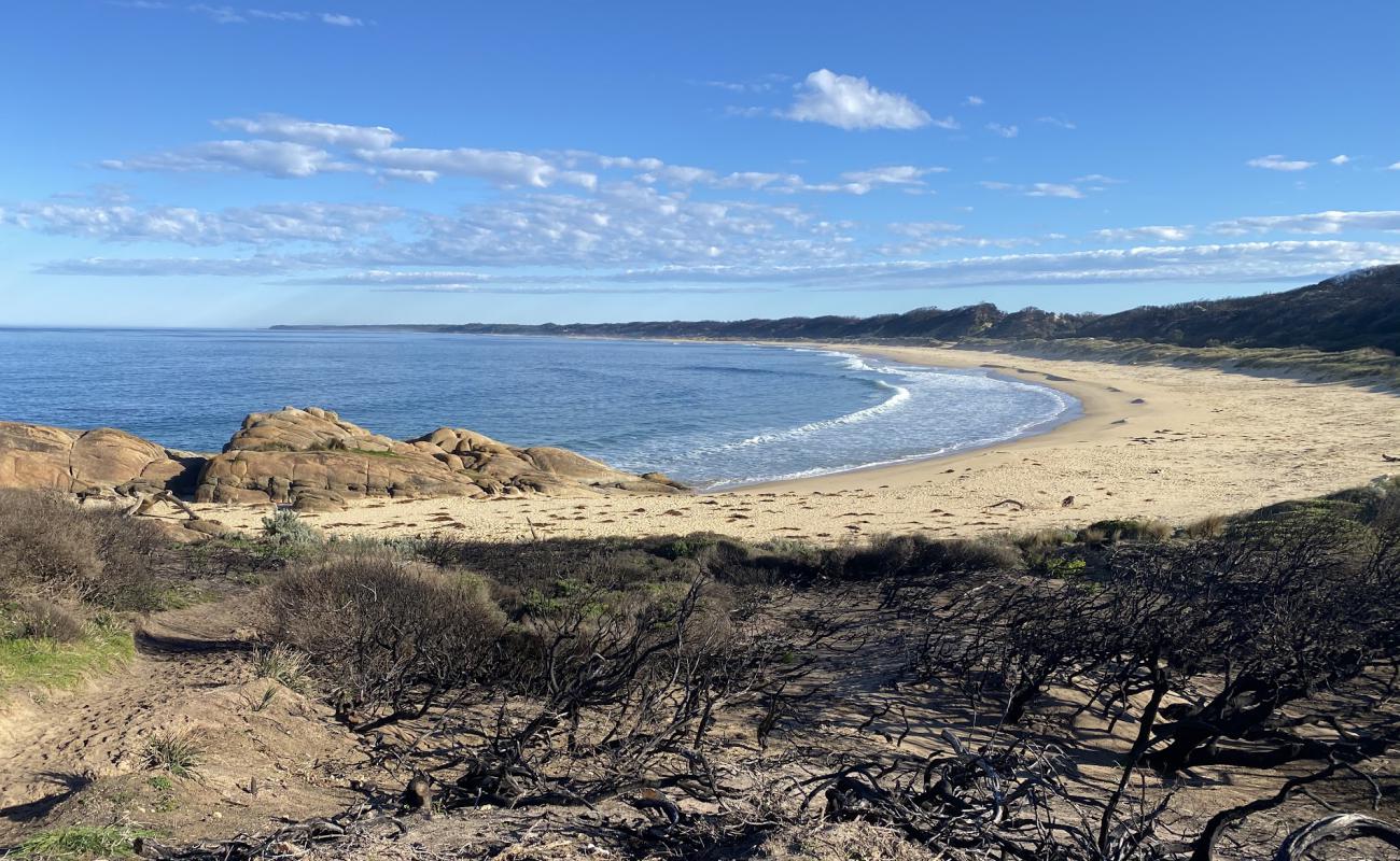 Photo of Salmon Beach with bright fine sand surface