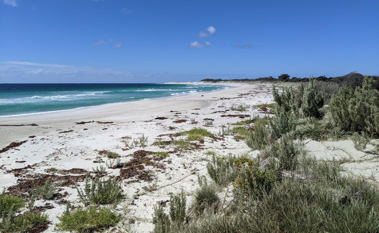 Photo of Mount William Beach with white sand surface