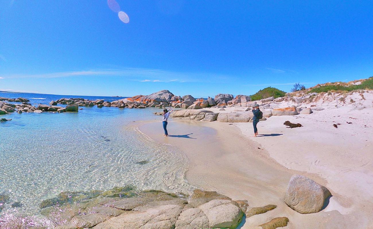 Photo of Koala Rock Beach with white sand surface