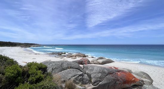 Swimcart Beach