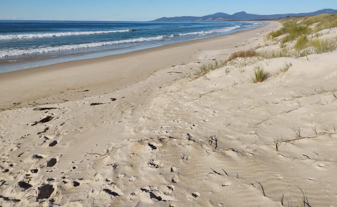 Photo of Beaumaris Beach with bright sand surface