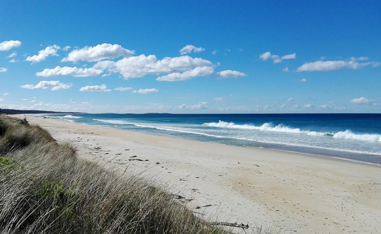 Photo of Steels Beach with bright sand surface